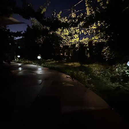Villa Zeko Gjirokastër Eksteriør billede